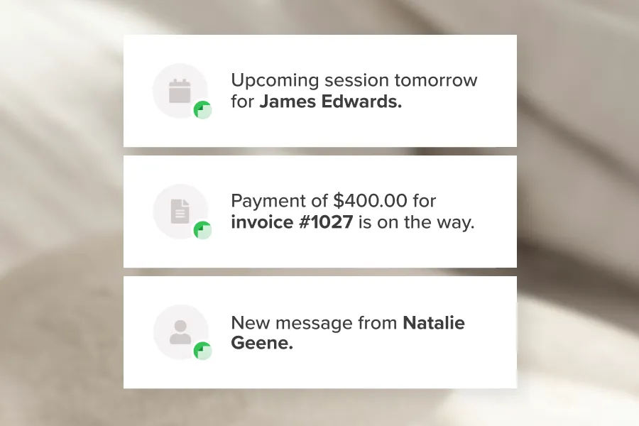 Photography studio client notifications for upcoming sessions, payments, and new messages